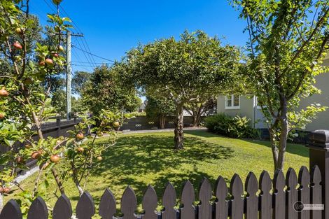 Photo of property in 227 Riverside Drive, Waterloo, Lower Hutt, 5011