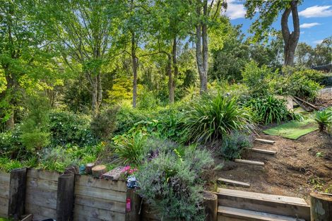 Photo of property in 332 Crane Road, Kauri, Kamo, 0185