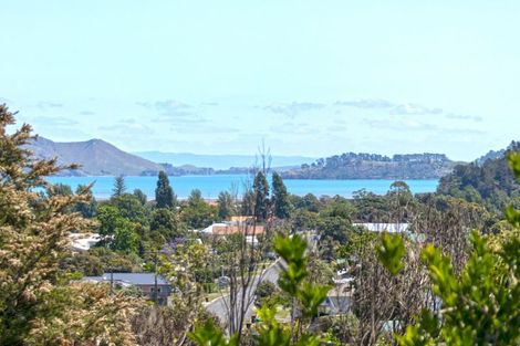 Photo of property in 80 Oxford Terrace, Coromandel, 3506