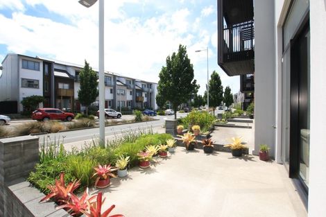 Photo of property in 151 Hobsonville Point Road, Hobsonville, Auckland, 0616