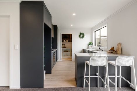 Photo of property in 21 Guillaume Street, Chartwell, 3210