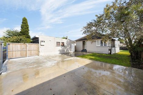 Photo of property in 44 Rimu Street, Maeroa, Hamilton, 3200