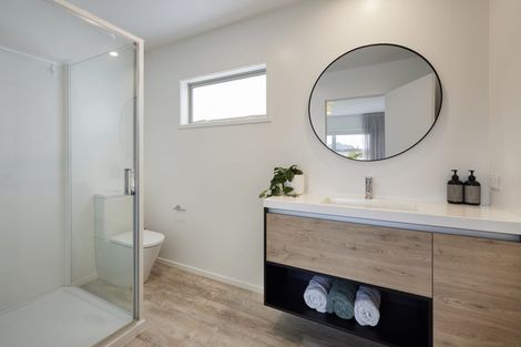 Photo of property in 75b Campbell Road, Mount Maunganui, 3116