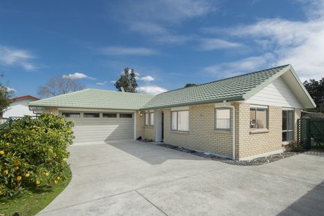 Photo of property in 17 Donegal Place, Katikati, 3129