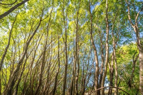 Photo of property in 50 Cliff Road, Tasman, Upper Moutere, 7173