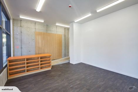 Photo of property in Vsp Nothern Tower, 166c1 Victoria Street, Te Aro, Wellington, 6011