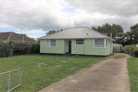Photo of property in 9 Maire Street, Levin, 5510