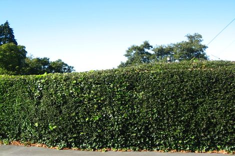 Photo of property in 12 Chapman Street, Wakari, Dunedin, 9010