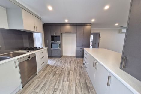 Photo of property in 217b Maungatapu Road, Maungatapu, Tauranga, 3112