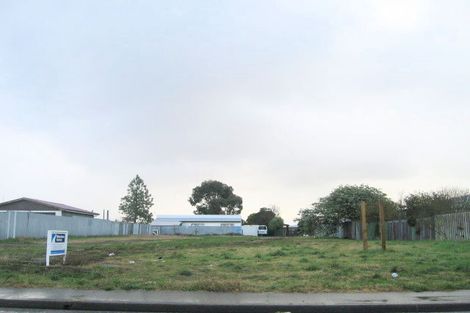 Photo of property in 82 Kirkwood Road, Flaxmere, Hastings, 4120