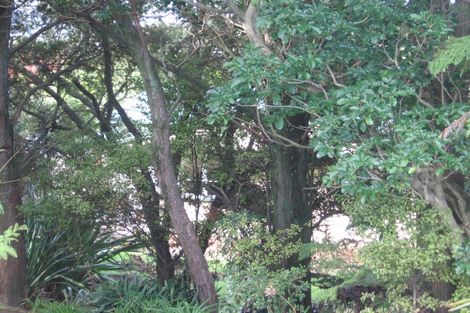 Photo of property in 242a Old Titirangi Road, Titirangi, Auckland, 0604