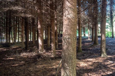 Photo of property in 334 Malaghans Road, Dalefield, Queenstown, 9371