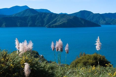 Photo of property in 318 Port Underwood Road, Whatamango Bay, Picton, 7281