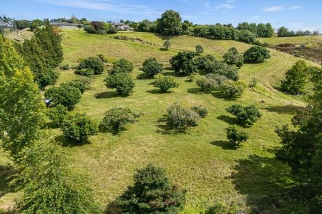 Photo of property in 233 Waipapa Block Road, Whakamarama, Tauranga, 3180