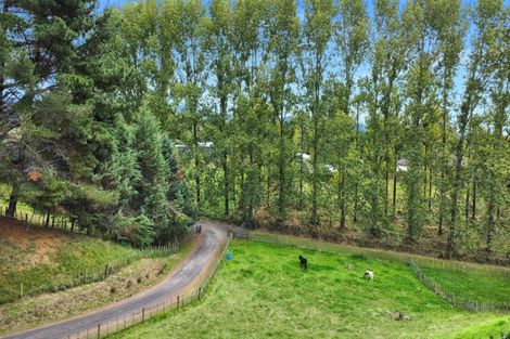 Photo of property in 131 Hogg Road, Rotoma, Whakatane, 3192