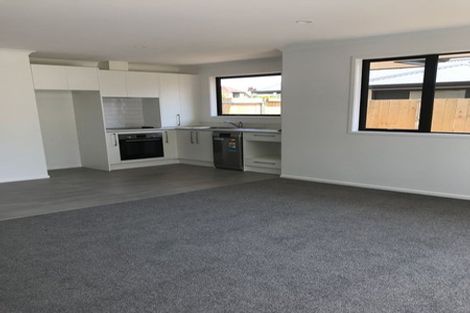 Photo of property in 2u2 Mcnicol Street, Fairfield, Hamilton, 3214