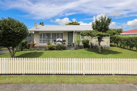 Photo of property in 9 Mary Street, Huntly, 3700