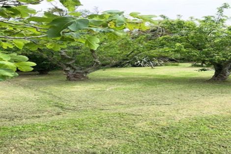 Photo of property in 55 Pouto Road, Dargaville, 0371