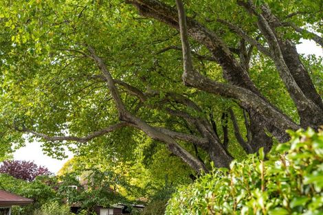 Photo of property in 15b Heuchan Lane, Wanaka, 9305