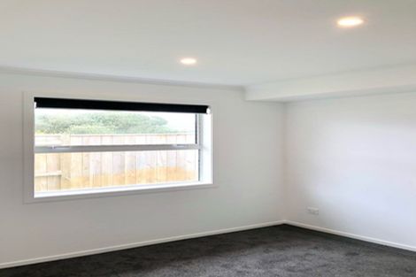 Photo of property in 19a Mckenzie Street, Levin, 5510