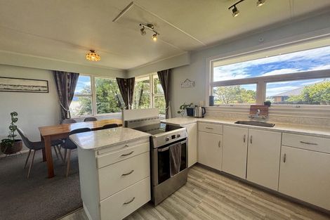 Photo of property in 18 Brook Street, Renwick, 7204