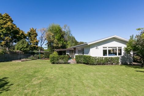 Photo of property in 4 Phillips Place, Havelock North, 4130