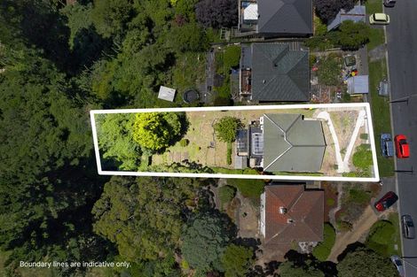 Photo of property in 44 Ryehill Street, Calton Hill, Dunedin, 9012