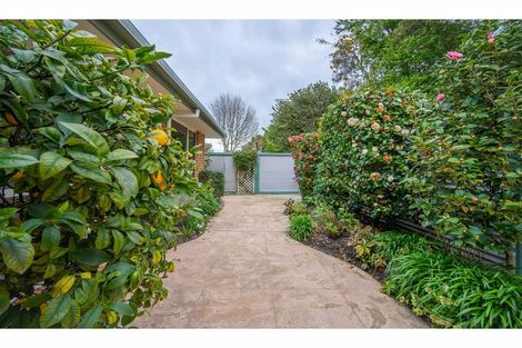 Photo of property in 130a Halswell Road, Hillmorton, Christchurch, 8025