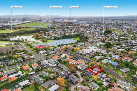 Photo of property in 49 Carey Street, Maeroa, Hamilton, 3200