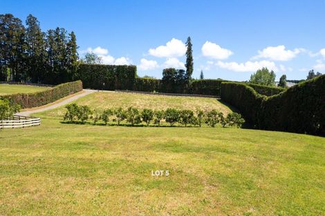 Photo of property in 47 Darwin Road, Outer Kaiti, Gisborne, 4010