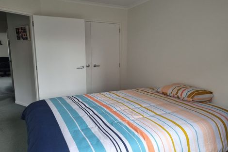 Photo of property in 8e Heath Street, Mount Maunganui, 3116