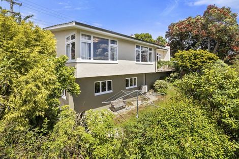 Photo of property in 47 Signal Hill Road, Opoho, Dunedin, 9010