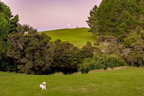 Photo of property in 78 River Drive, Kerikeri, 0294