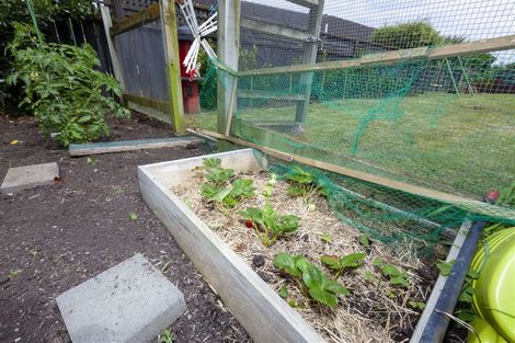 Photo of property in 26 Langdale Avenue, Paraparaumu, 5032