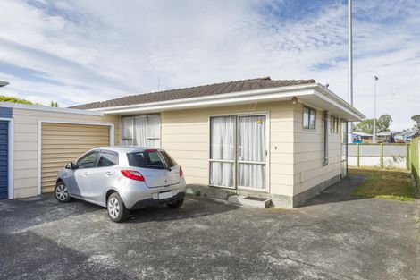 Photo of property in 117 Rugby Street, Awapuni, Palmerston North, 4412