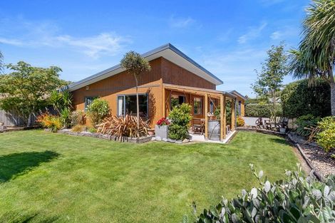 Photo of property in 14 Bunting Place, Woodend, 7610