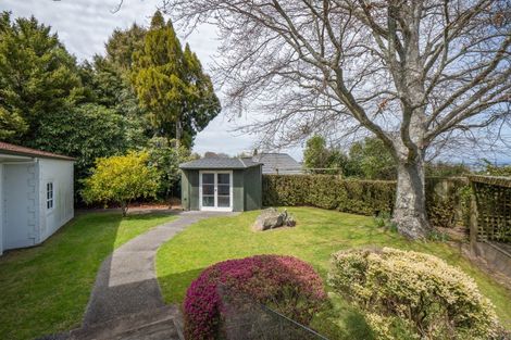 Photo of property in 19 Wheretia Street, Taupo, 3330