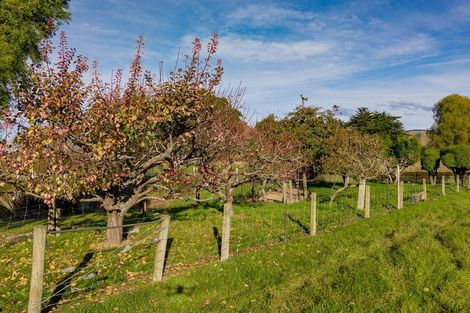 Photo of property in 15 Pembroke Street, Waimate, 7980