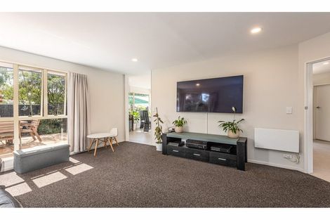 Photo of property in 133 Rose Street, Somerfield, Christchurch, 8024