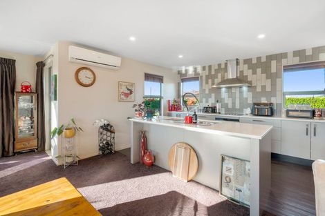 Photo of property in 55 Mandeville Park Drive, Swannanoa, Kaiapoi, 7692
