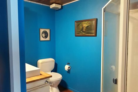 Photo of property in Courtenay Mews Apartments, 14u2 Alpha Street, Te Aro, Wellington, 6011