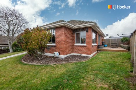 Photo of property in 53 Hawthorn Avenue, Mornington, Dunedin, 9011