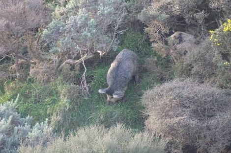 Photo of property in Long Gully, 380 Hawkins Hill Road, Brooklyn, Wellington, 6021