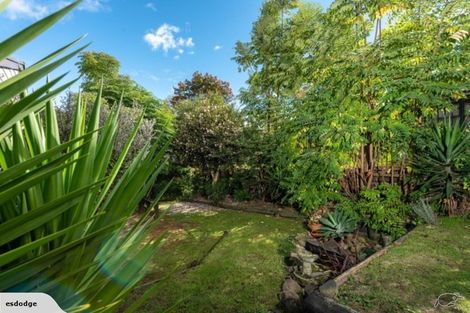 Photo of property in 169b Ohauiti Road, Hairini, Tauranga, 3112