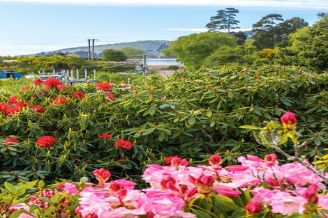 Photo of property in 287 Waikouaiti-waitati Road, Evansdale, Waikouaiti, 9471