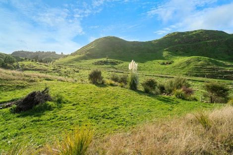 Photo of property in 111 Tarver Lane, Pikowai, 3194