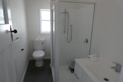 Photo of property in 95 Roxburgh Street, Mount Victoria, Wellington, 6011