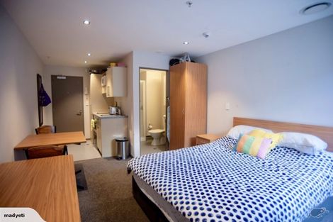 Photo of property in Dual Apartments, 108/142u Vivian Street, Te Aro, Wellington, 6011