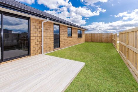 Photo of property in 17 Tekapo Road, Baverstock, Hamilton, 3200