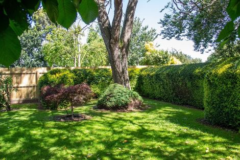 Photo of property in 8 Iorns Street, Masterton, 5810